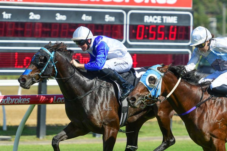 Upset Filly Drops a Bomb Of Rivals