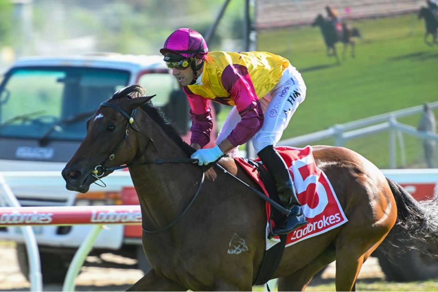 Hard Work Paying Off for Comeback King Holt 