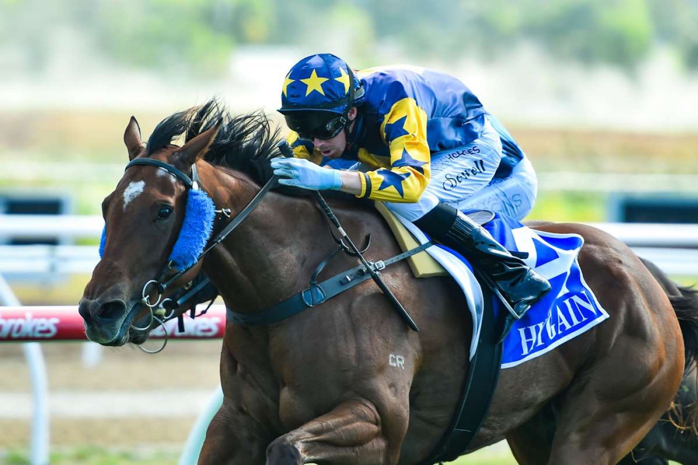 Mare Ready to Reboot Long Range Carnival Hopes