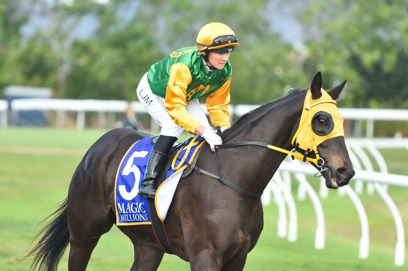 Beau on Back-Up and Ready to Peak