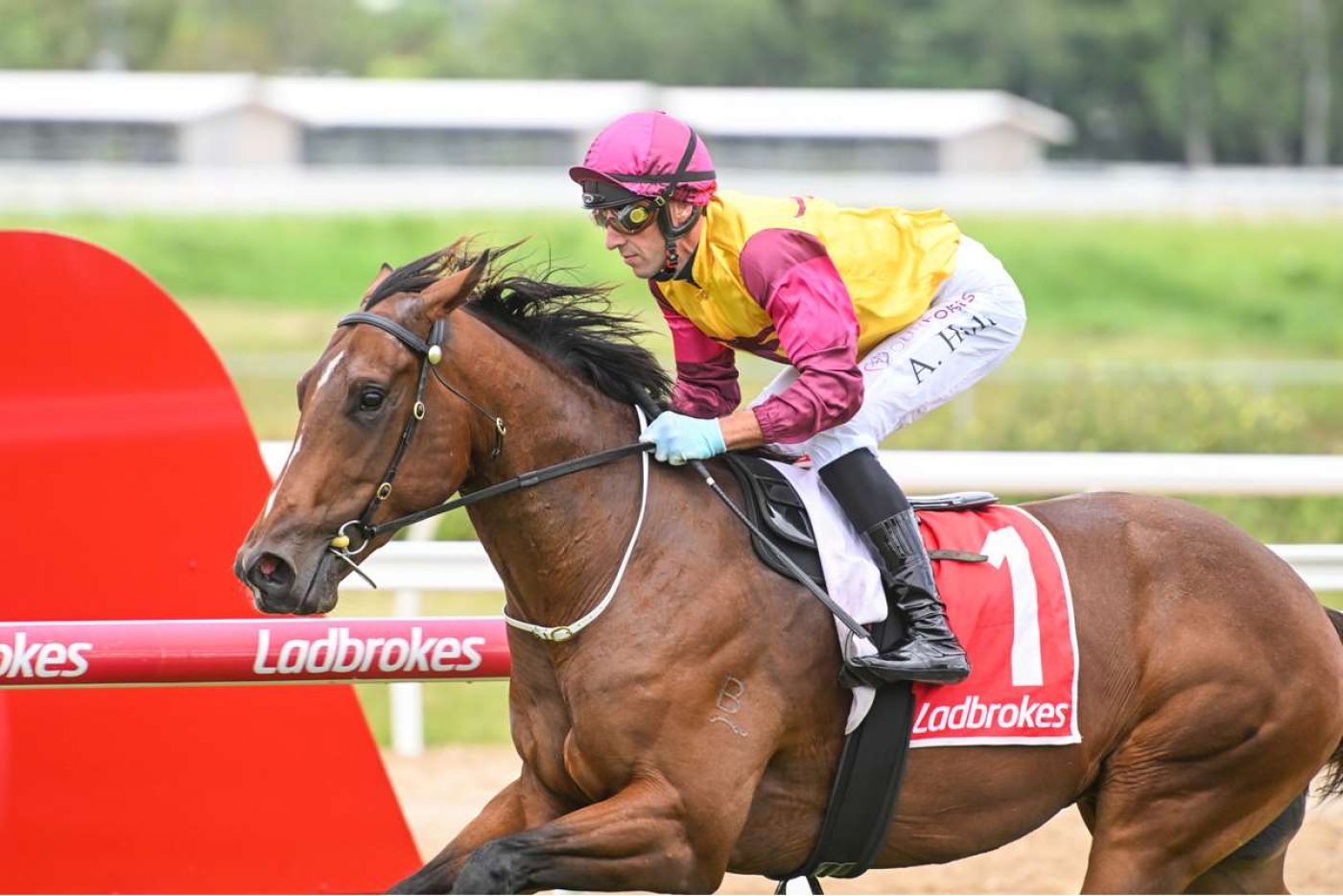 Blitzem Rethink Gives Holts Shot at Jewel Double