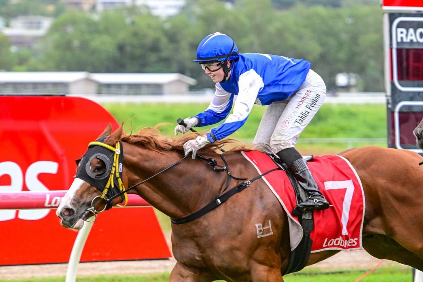 Blinkers Does the Trick for Peter and the Dude