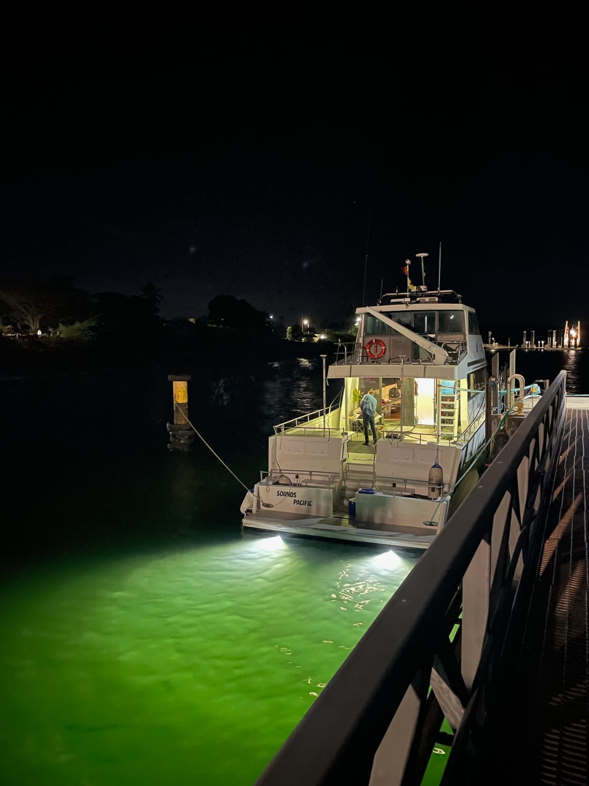 Weipa Survey Support