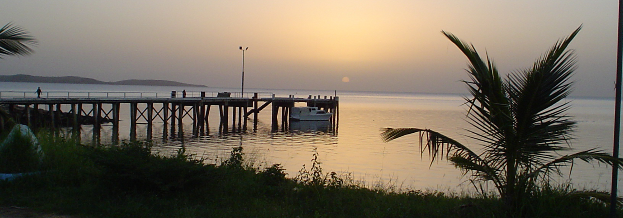 Palm Island