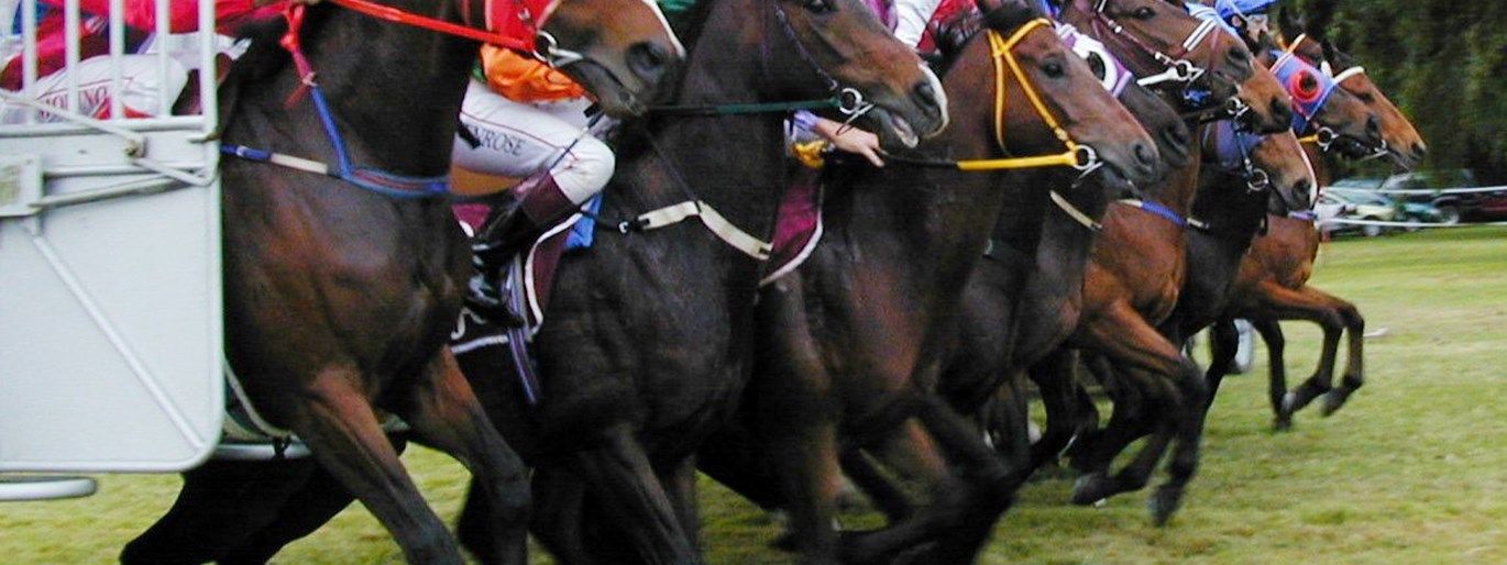 Ingham Gold Cup Race Day