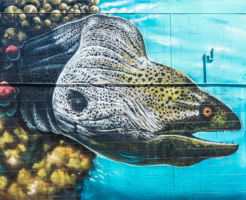 Burdekin Art Trail