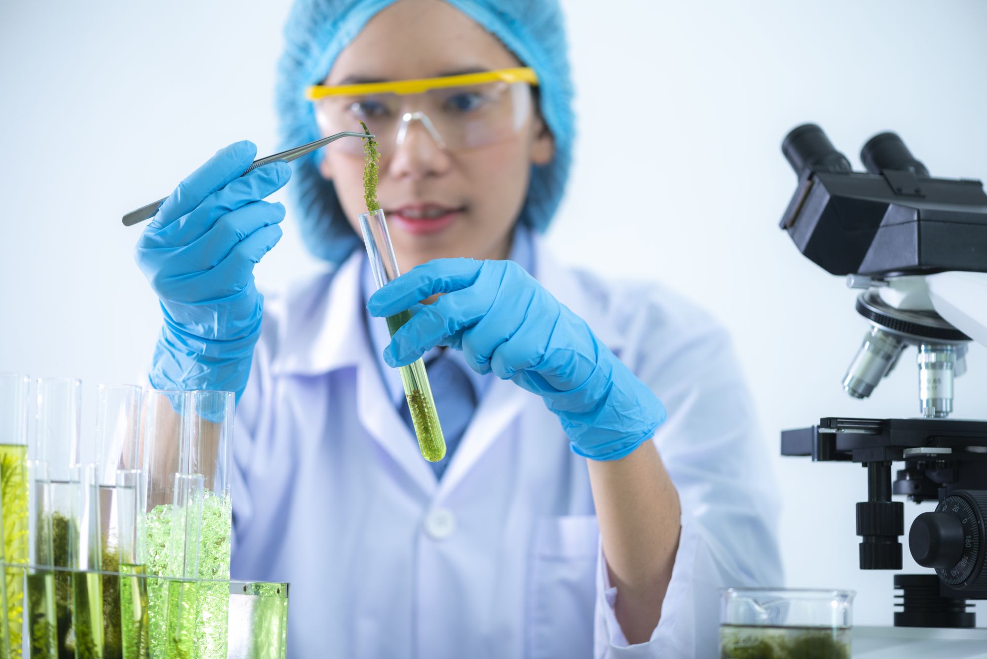Science & Technology in North Queensland