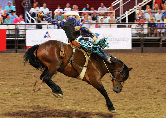 Ingham Sugar City Rodeo