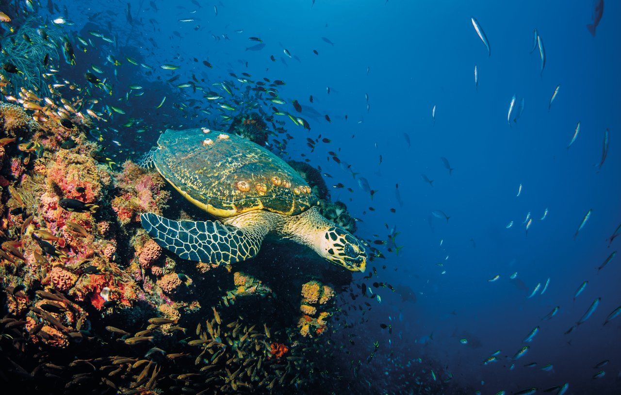 Great Barrier Reef