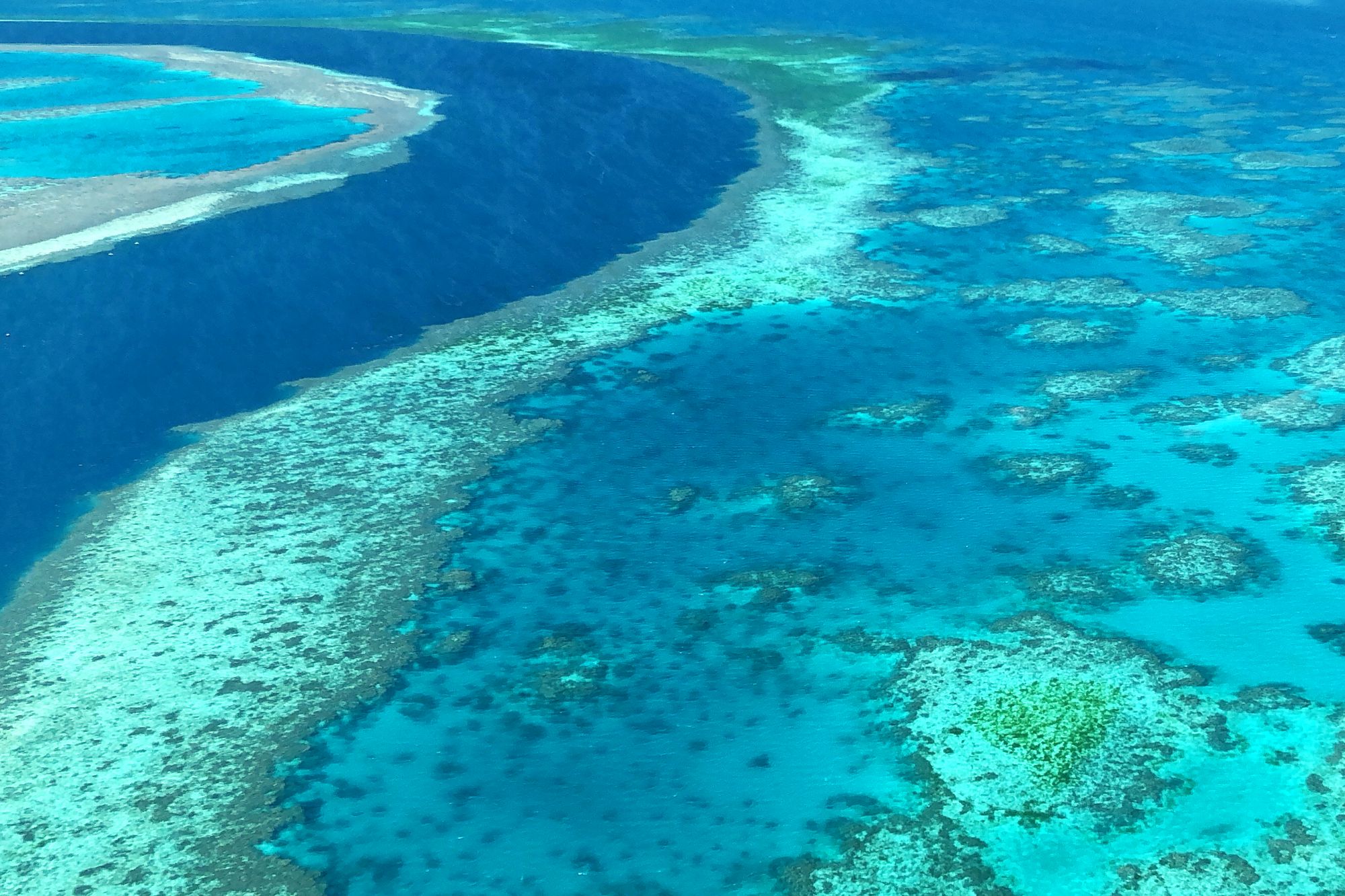 Scenic Flight over the Great Barrier Reef from Airlie Beach