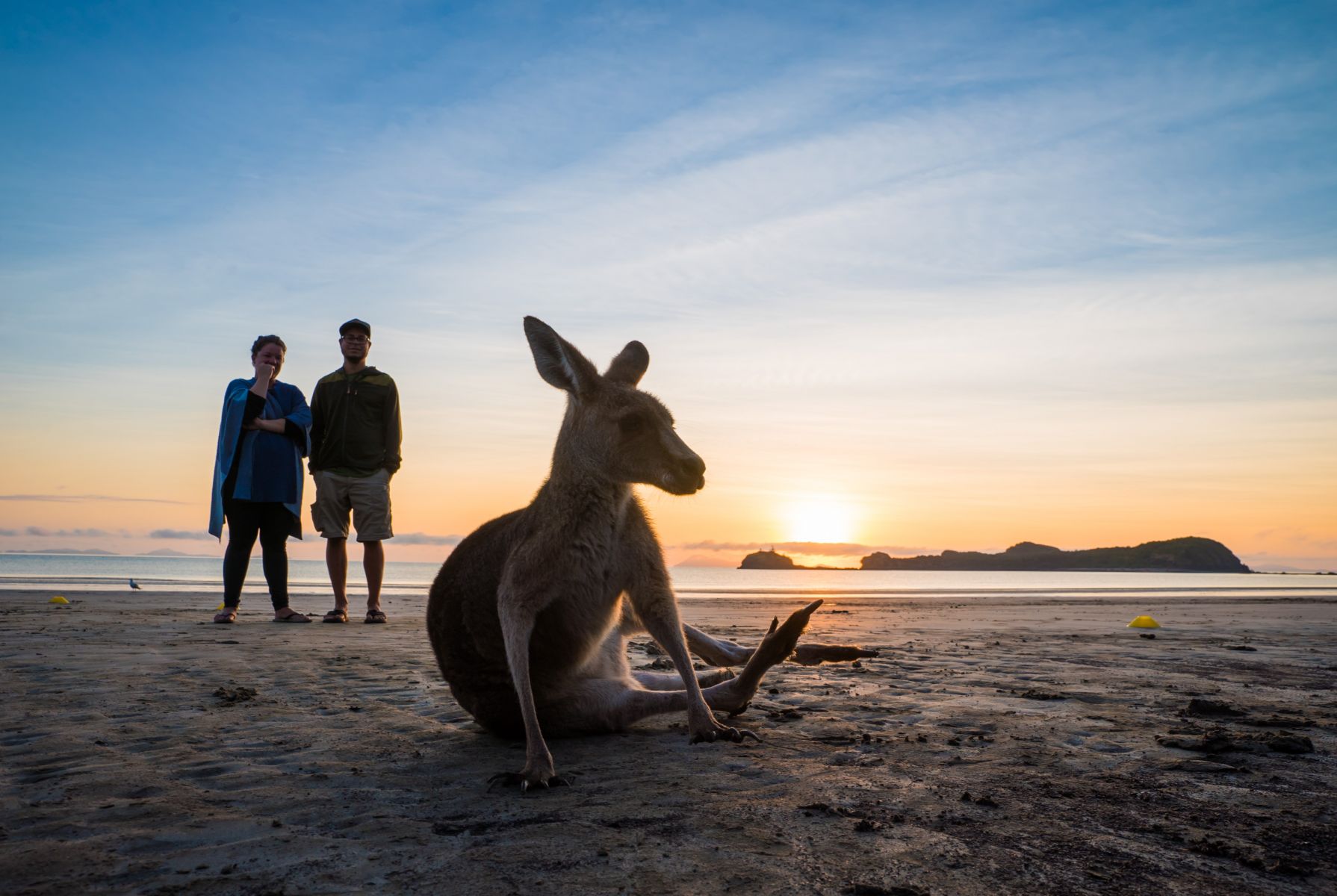 AMAQ Brings Junior Doctors Conference to Mackay 