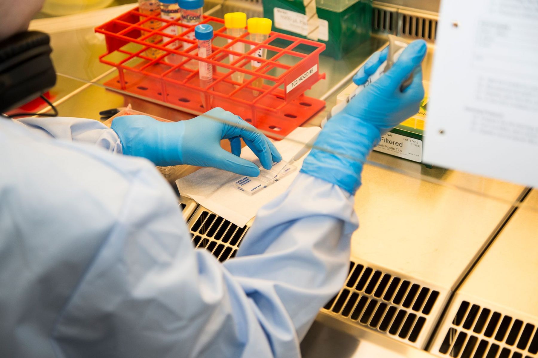 From Summer Research Project to International Publication