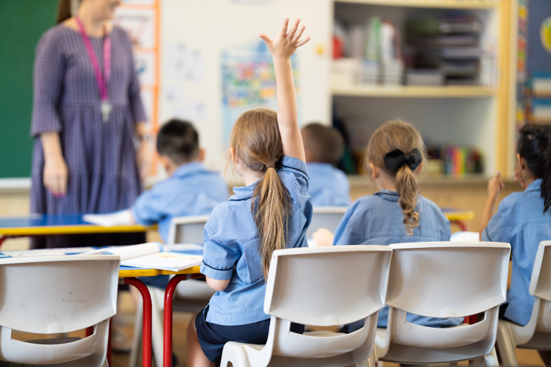 Small School vs Big School: Does Class Size Matter?