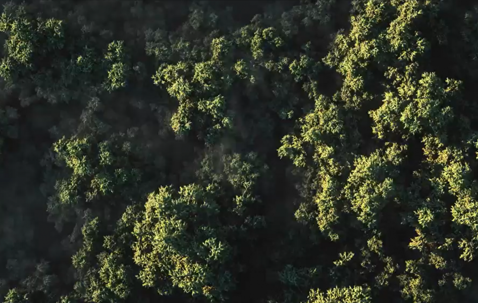 Ark Energy representing Korea Zinc at Green Hydrogen Global Assembly