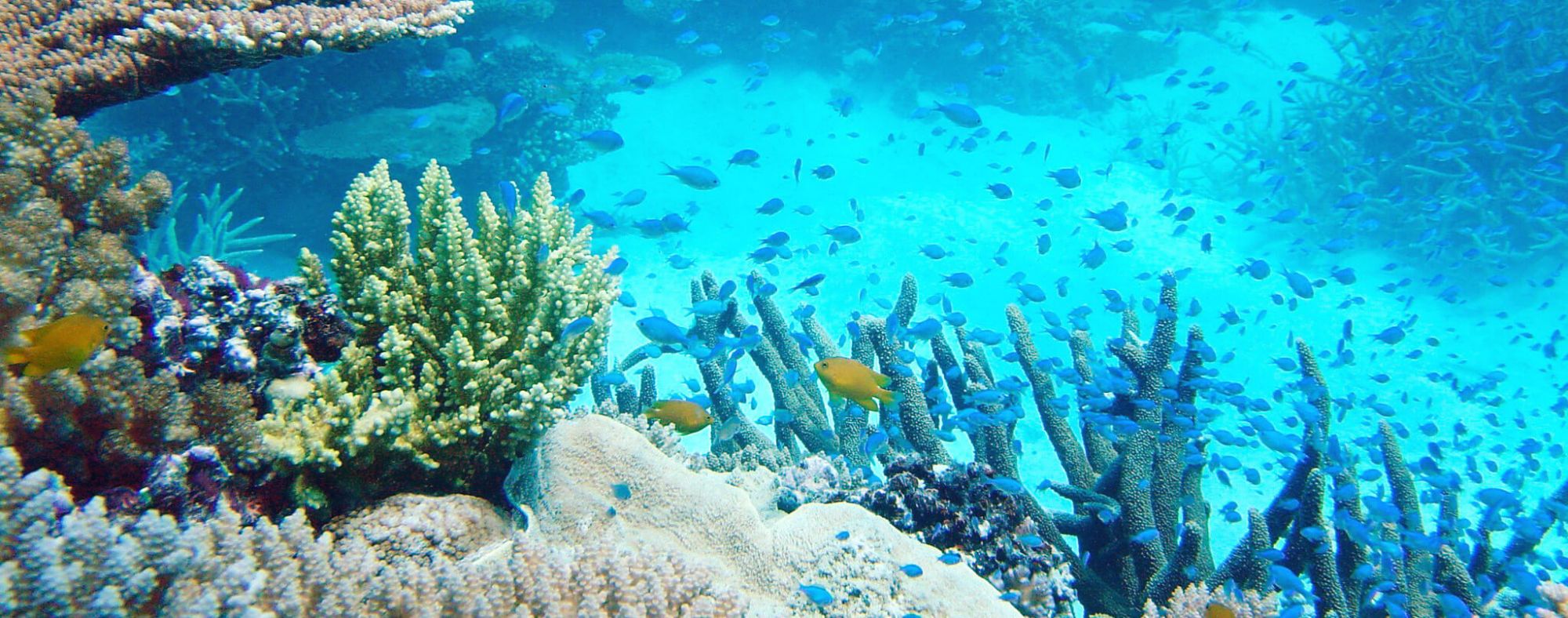 Great Barrier Reef