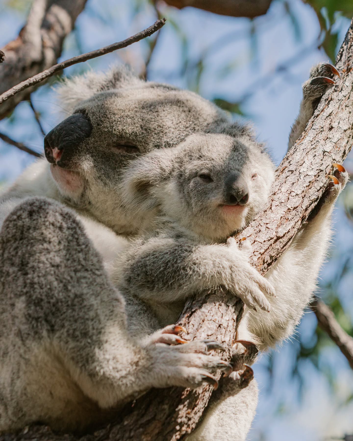 Photo credit: Ashley Dobson Photo credit: Ashley Dobson