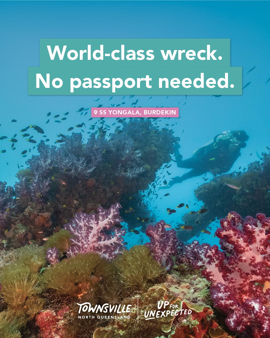 Real Unexpected Townsville North Queensland