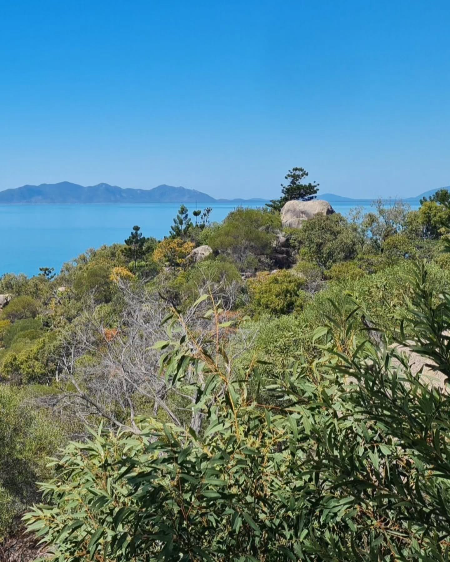 Photo credit: eucalyptia Photo credit: eucalyptia