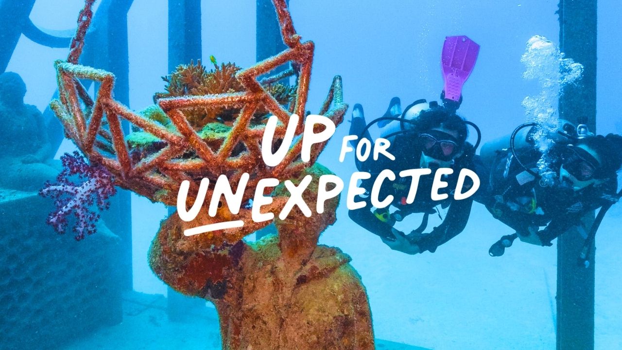 Are you Up for Unexpected?