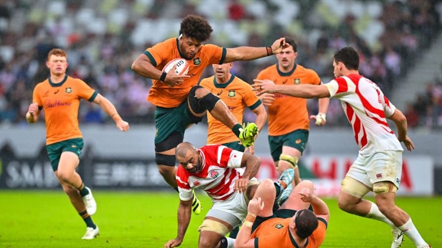 Rugby Union: Wallabies v Japan Image