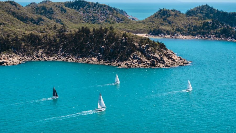 Sealink Magnetic Island Race Week Image
