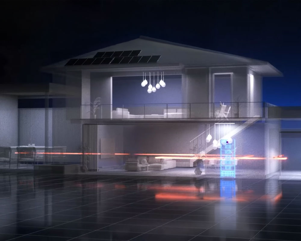 goodwe whole home backup