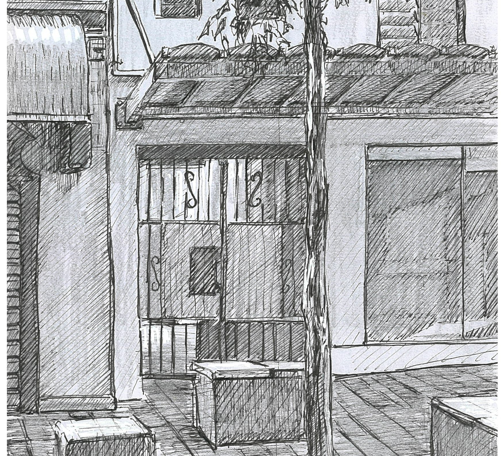 Street View: Wonder World