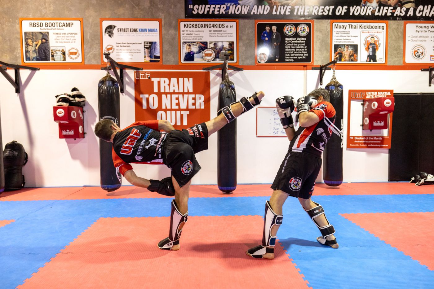 Which Martial Arts Should You Learn? A Beginner's Guide