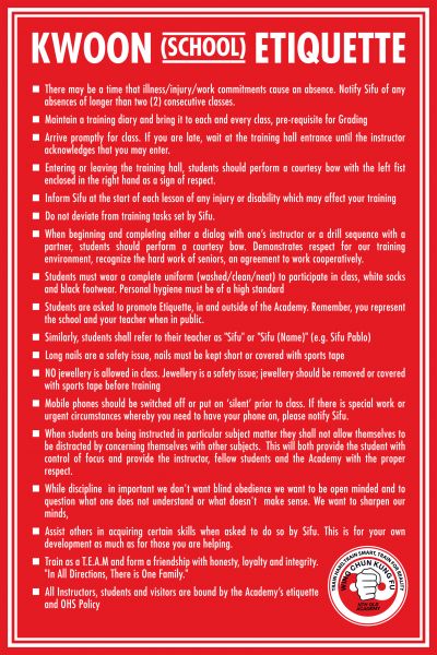 Raising Resilient, Confident Children Through Martial Arts: Lessons From the Wild