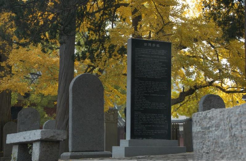 The Tenets of Wing Chun: Ancient Principles for Modern Strength