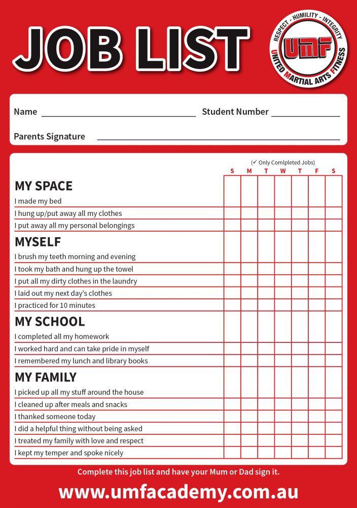 Raising the Standard: The 20 Critical Areas UMF Is Fixing to Build Stronger Kids, Stronger Parents, and Stronger Martial Artists