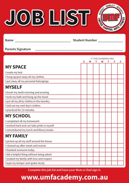 Raising the Standard: The 20 Critical Areas UMF Is Fixing to Build Stronger Kids, Stronger Parents, and Stronger Martial Artists