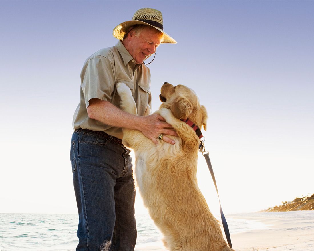 Have an animal in your life