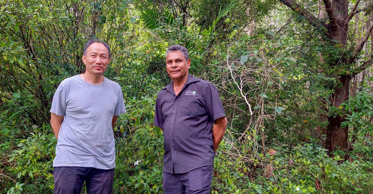 Transforming ancient knowledge into novel treatments for inflammatory ...