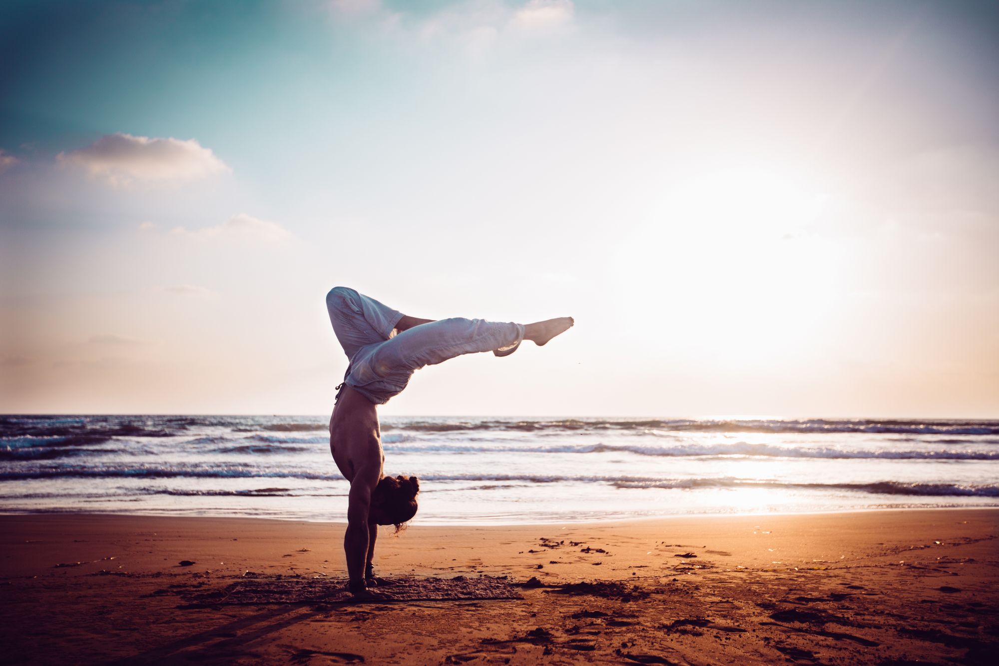 Wild Heart Yoga and Meditation