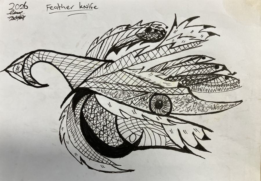 Feather knife Image