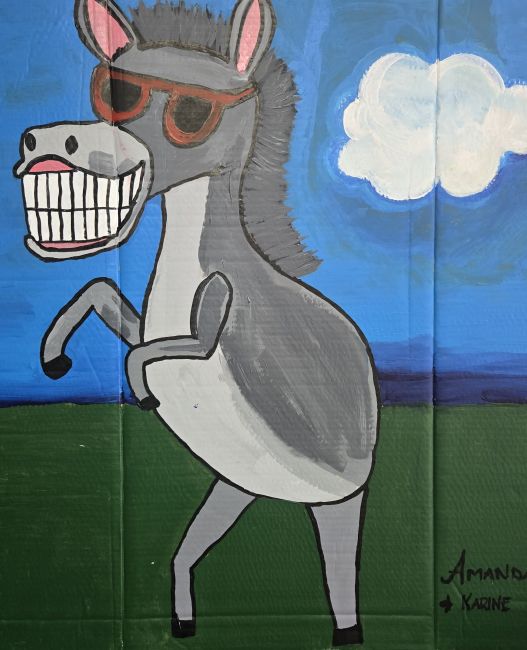 Cool donkey dance Image