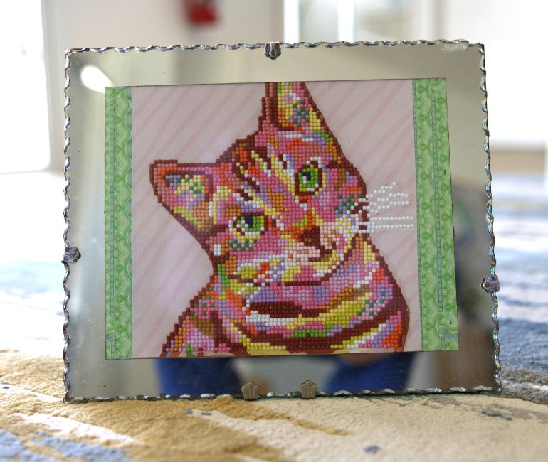 Whiskers in sparkle Image