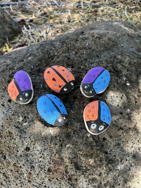 Ladybugs Image