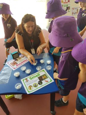 St Benedict's Eco Fest