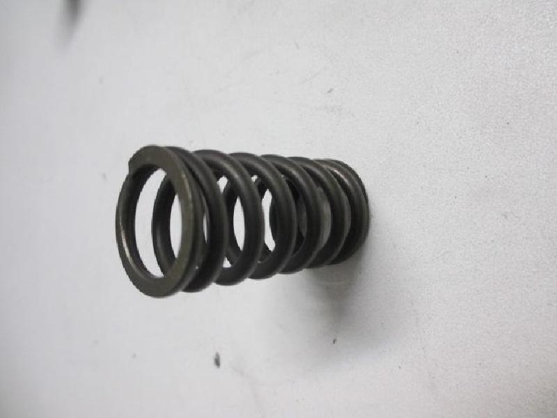 Valve Spring