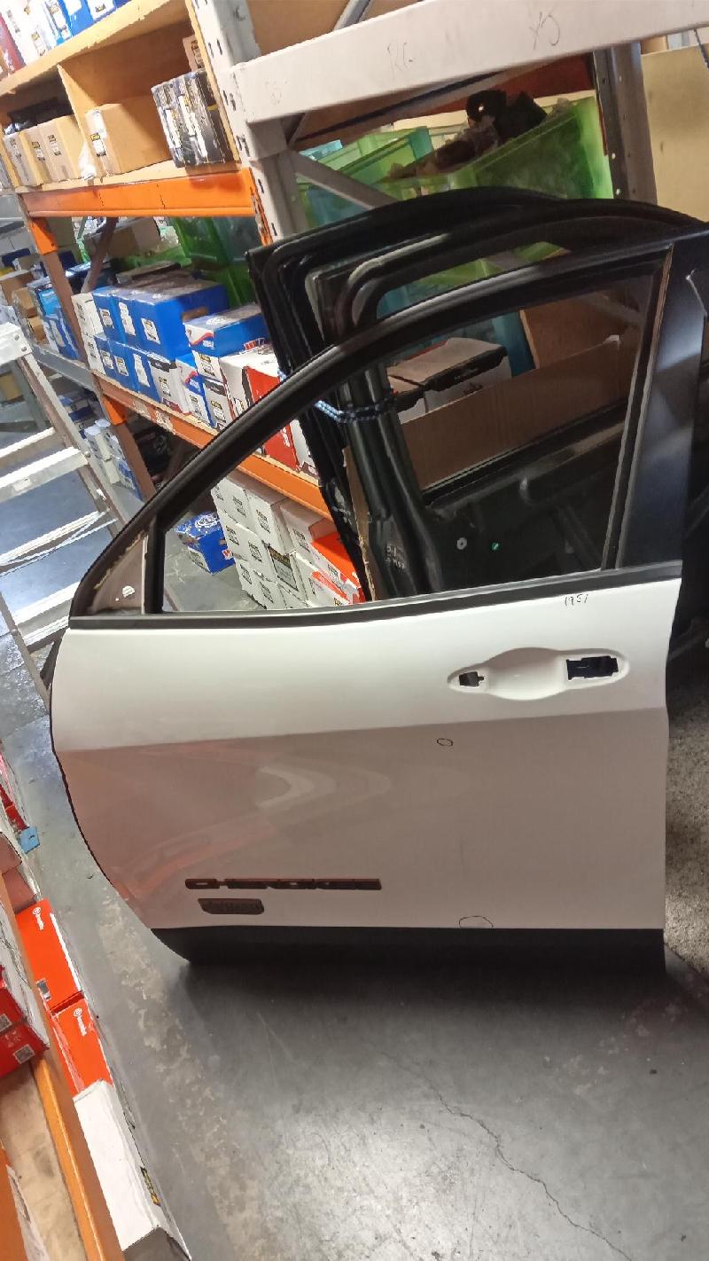 LF Door Shell