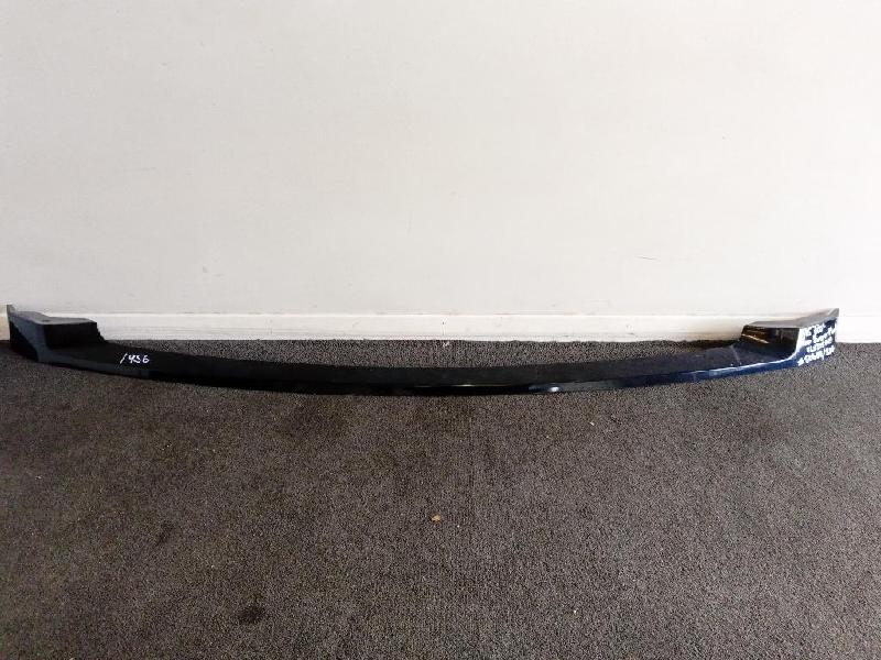 Rear Bumper Moulding