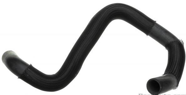 Radiator Bottom Hose