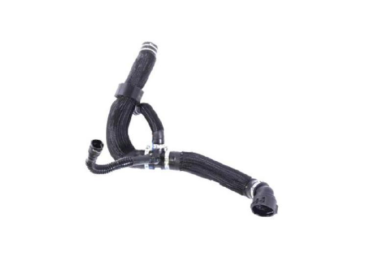 Radiator Bottom Hose