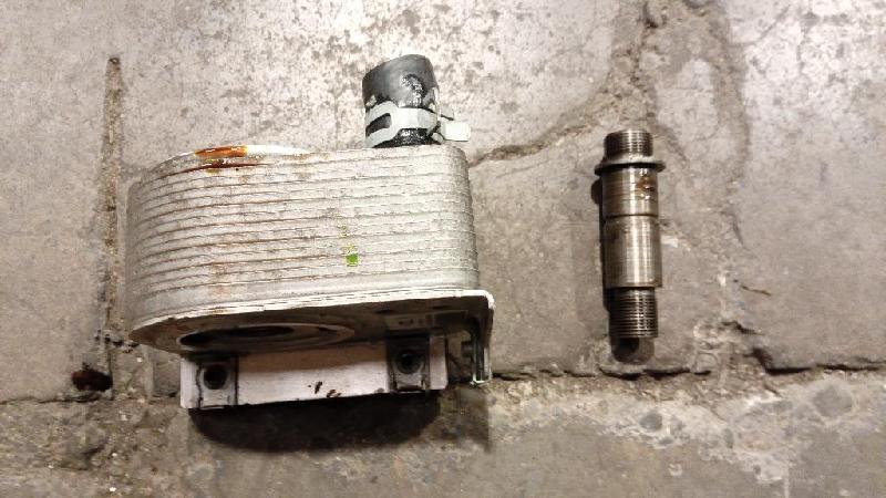 Engine Oil Cooler