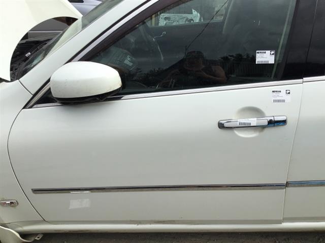 Lf Door Shell