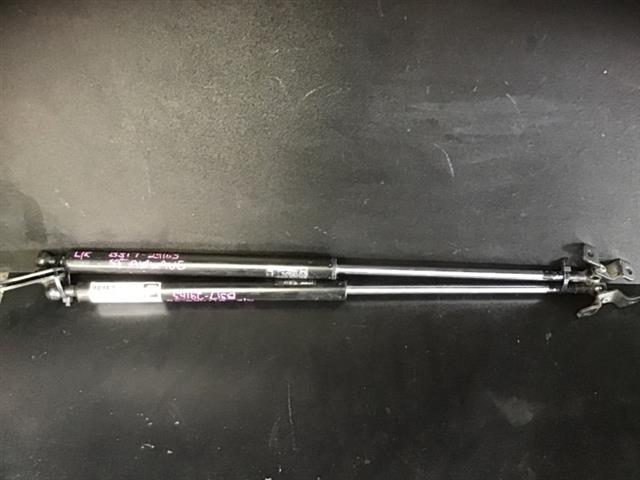 Tailgate Struts (set)