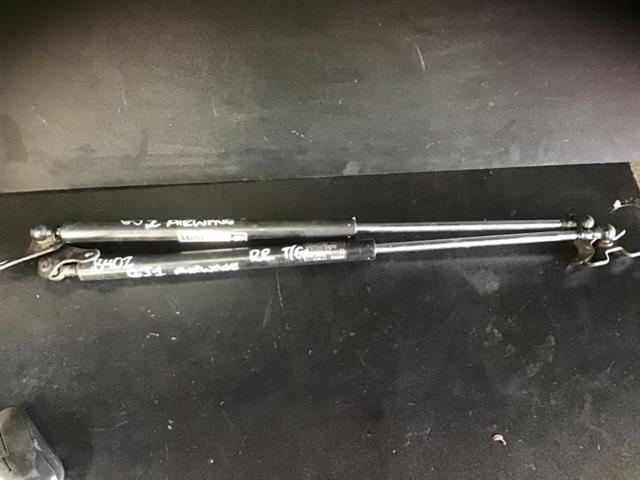 Tailgate Struts (set)