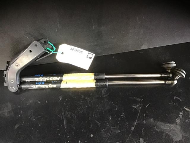 Tailgate Struts (set)